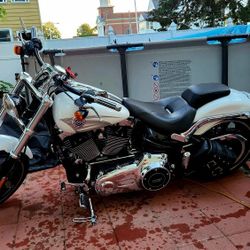 Harley Davidson Softail