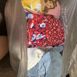 Toddler girl clothes 3t