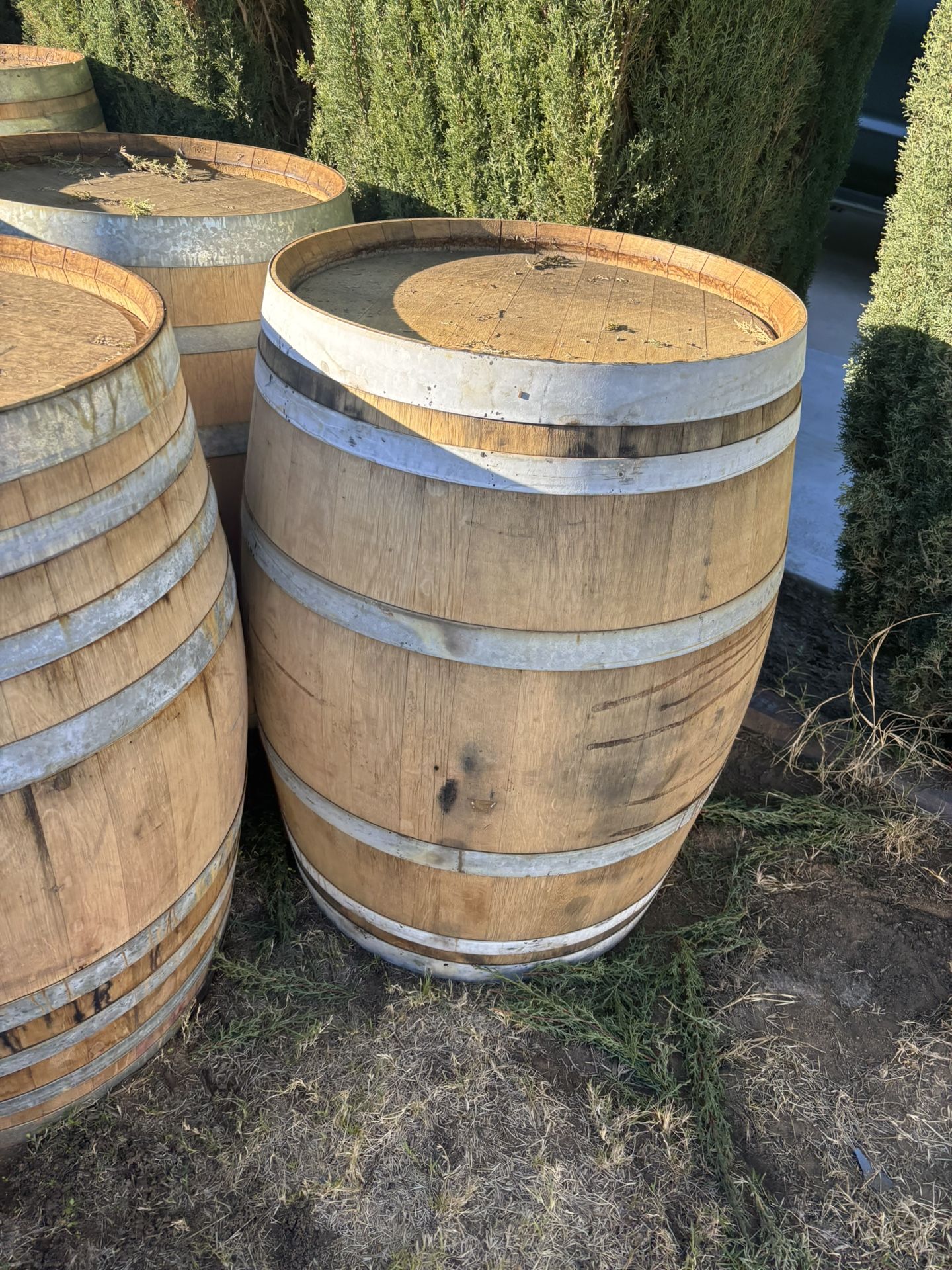 Oak Barrels