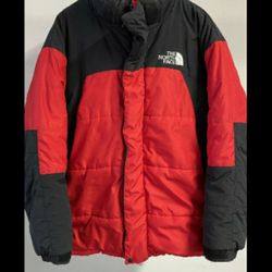 North Face Down Parka winter jacket 