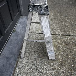 2’ Ladder 