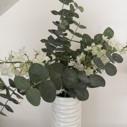 Beautiful Vase With Plant 