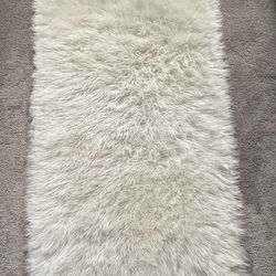 Area Rug