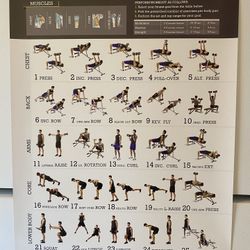 Poster DUMBBELL Workout for Men 18”x24”