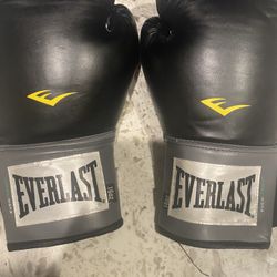 Everlast Boxing Gloves