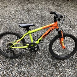 Nishiki 20 inch clearance bike