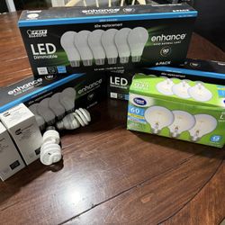 Misc Lightbulbs 💡 