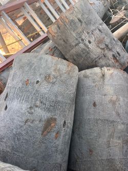 FREE PALM TREE TRUNKS WHITTIER LA HABRA FULLERTON