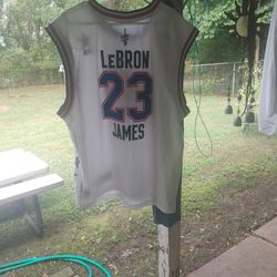 2015 Jersey Lebron James NYC15 ALL STAR GAME