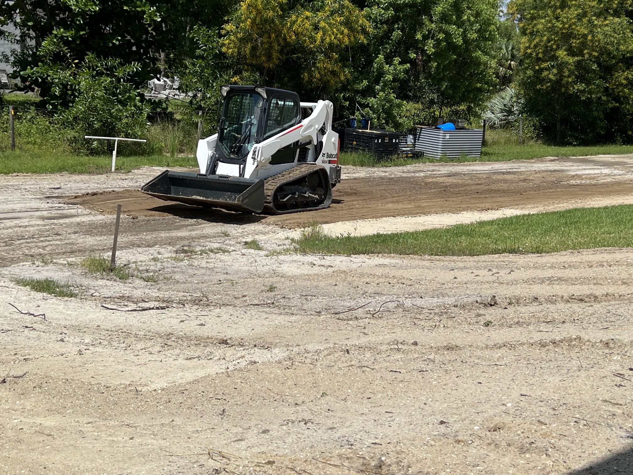 Bobcat!