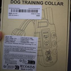 Dog Training collar