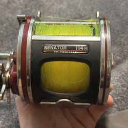 Penn 114H Special Senator 6/0 Reel