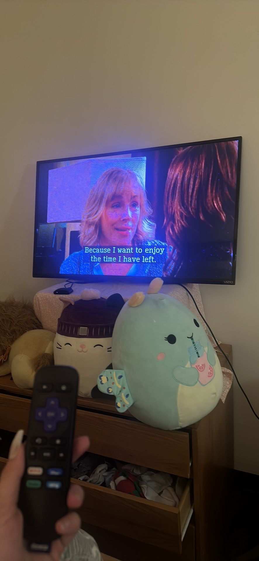 Vizio Flat Screen Tv (newer Version) 43’