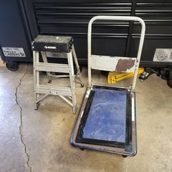 Ladder And Folding Cart