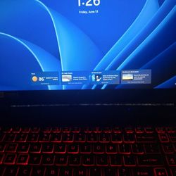 Acer Nitro 5 AN515-44