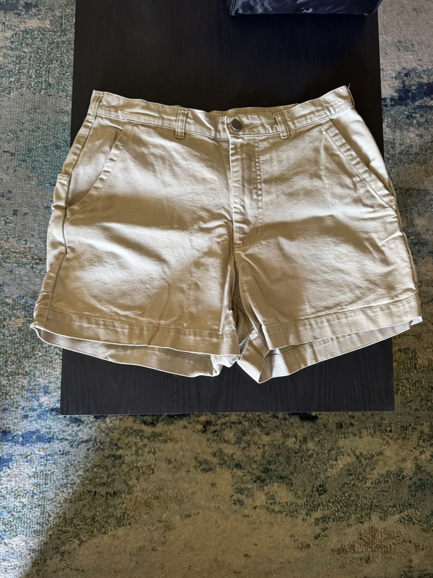Patagonia Shorts