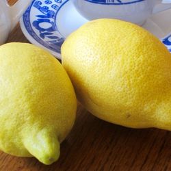 Lemon Tree For Sale Organic 