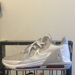 Nike LeBron James 11.5 witness 6 pure platinum