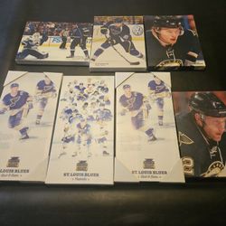 Set Of St Louis Blues Canvas Pictures 