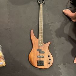 Electric Bass Guitar