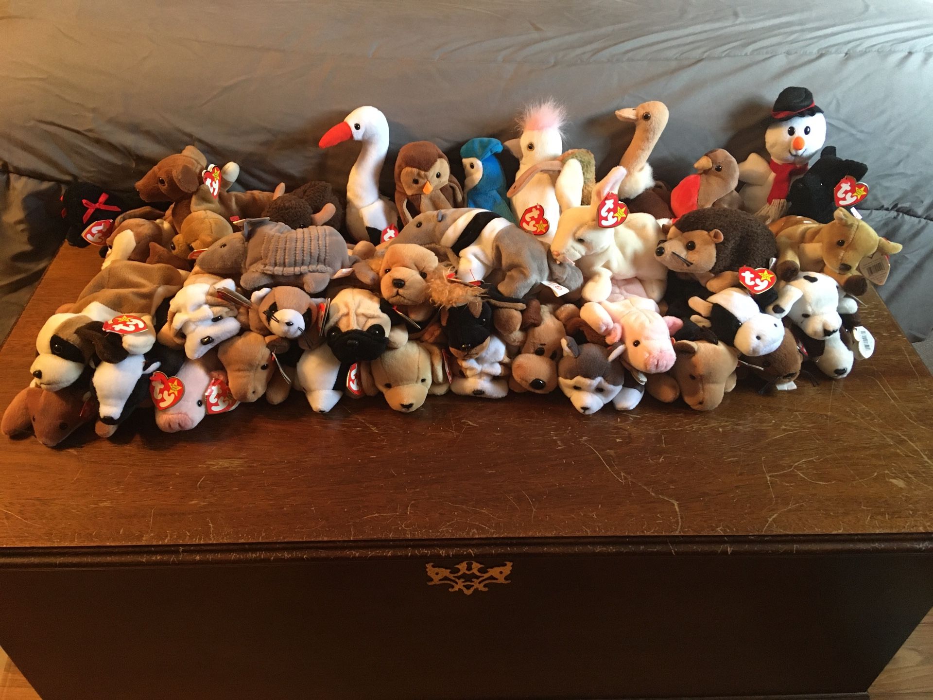 40 Ty Beanie Babies—All with Tags—See all pics