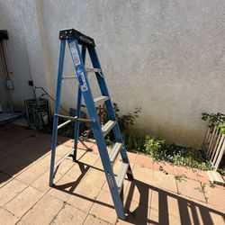 6ft ladder 