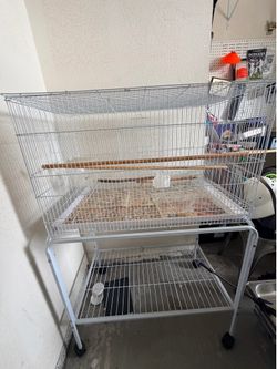 Bird cage with rolling wheels