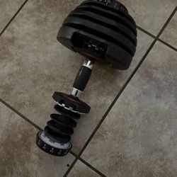 Bowflex Dumbbell Just One Missing Weights
