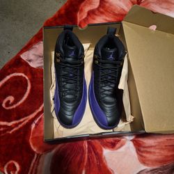 Air Jordan Retro 12  Black And Field Puple Size 12