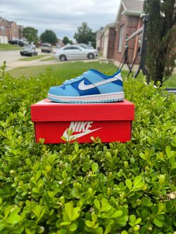 Nike dunk blue argon size 10c