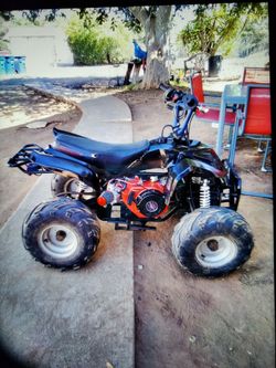 Mini bike (new predator 224 non-hemi(500$obo