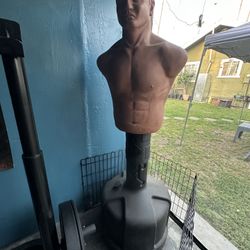 Century Bob Training Opponent bag 