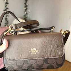 Brown Purse