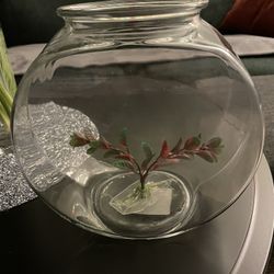 Fish tank