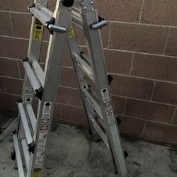 Ladder Multi Position
