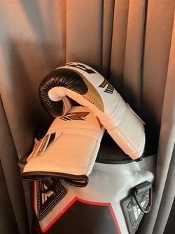 BOXING & MMA TRAINING PUNCHING BAG SET