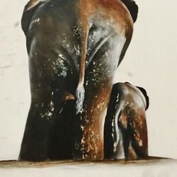 Junaid Senechal-Senekal Elephant Portrait