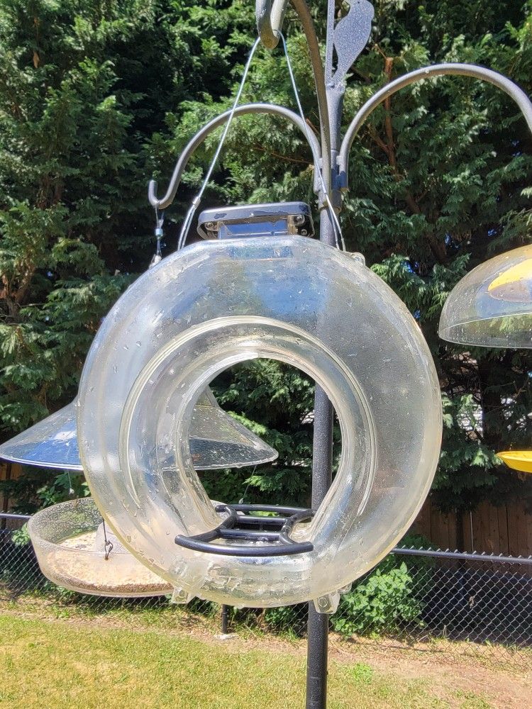 Stokes Select Clear Plastic Canteen-Style Bird Feeder with Two Perches, 5 Pound Seed Capacity