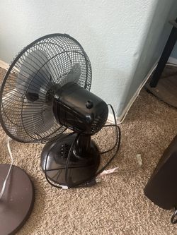 Fans (Moving Out Sale)