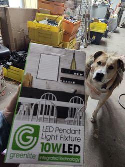 Led Pendant Light Fixture