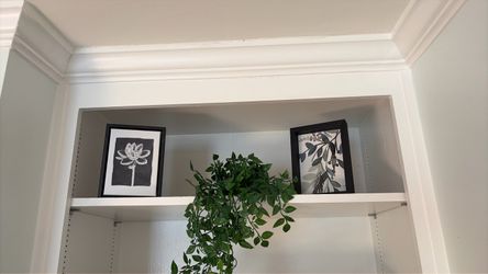 Pictures