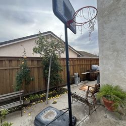 Basketball Hoop