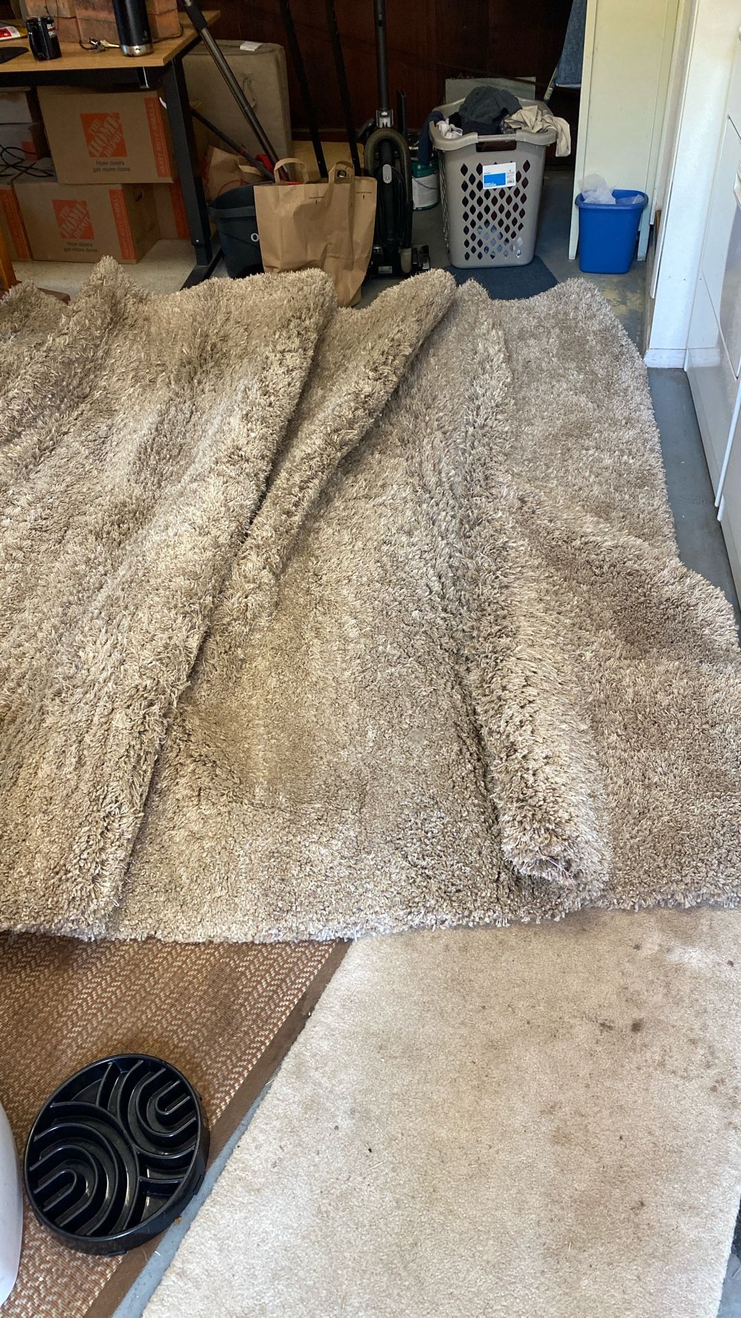 Area Rug