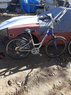 Speed Bikes For Sale
