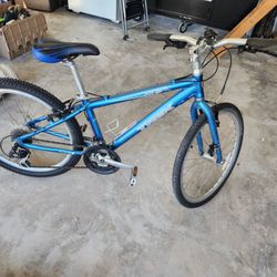 TREK Youth Mountain Bike
