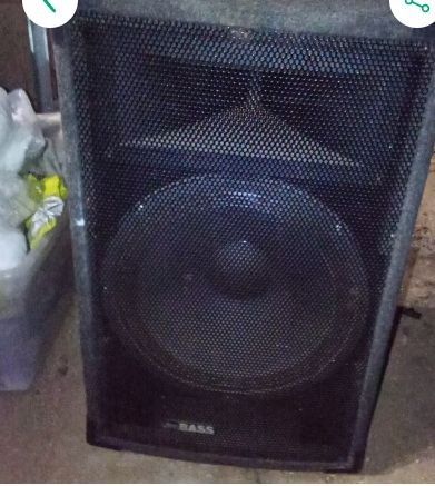 Bass Speaker