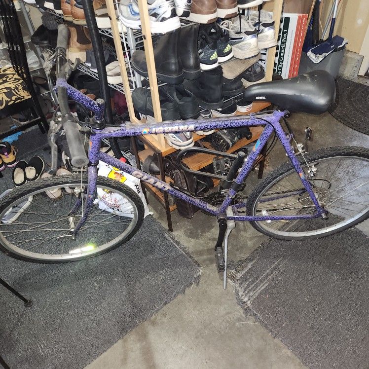 Iguana Multi Speed Bike