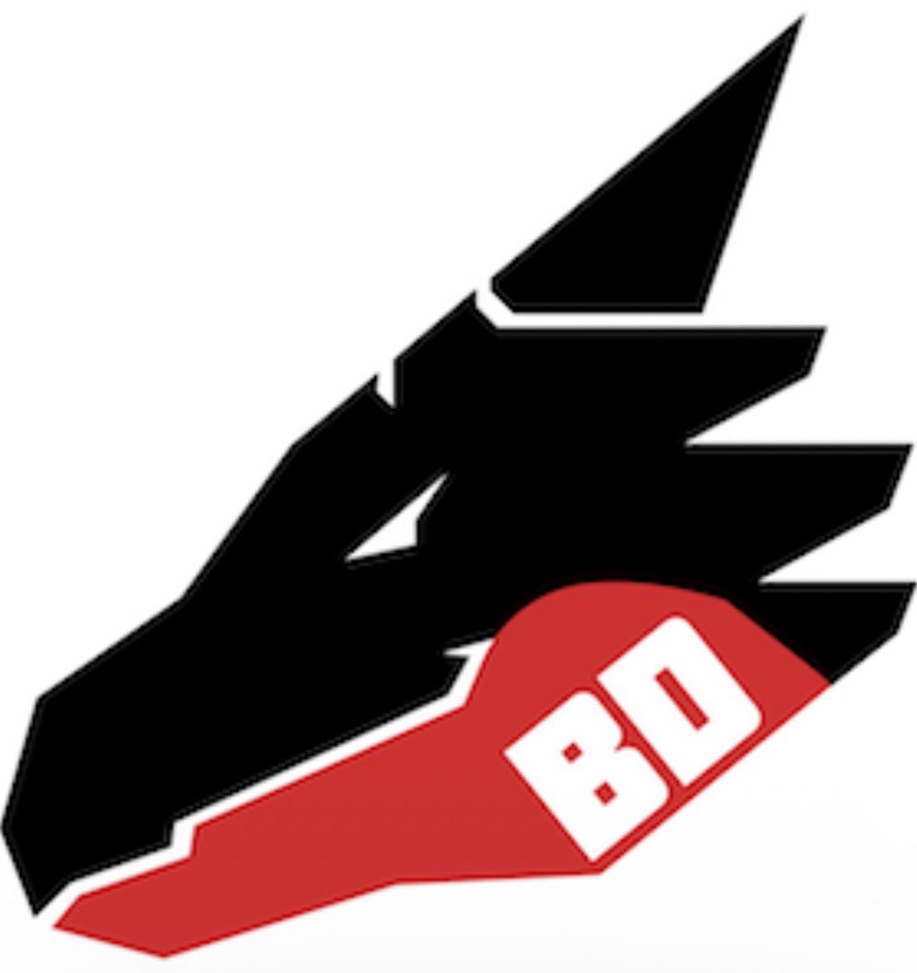 WTT [L/M] Chance Flared Stallion Large Medium Firmness