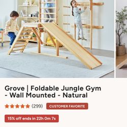 Avenlur Jungle Gym Wall Mounted For Kids 