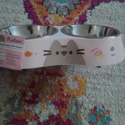 Cat Food Bowls And Base